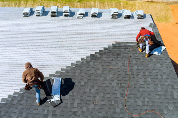Best Roof Gutter Cleaning  in El Cerro Mission, NM